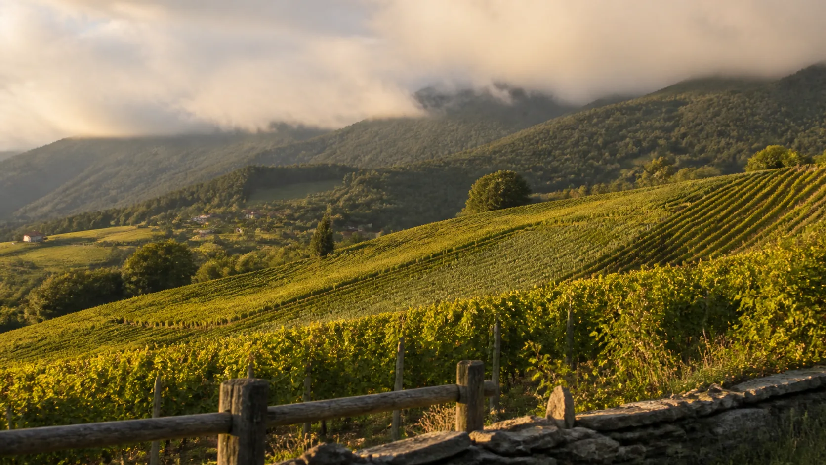 Weinregion Weststeiermark - das Schilcherland auf Gneis
